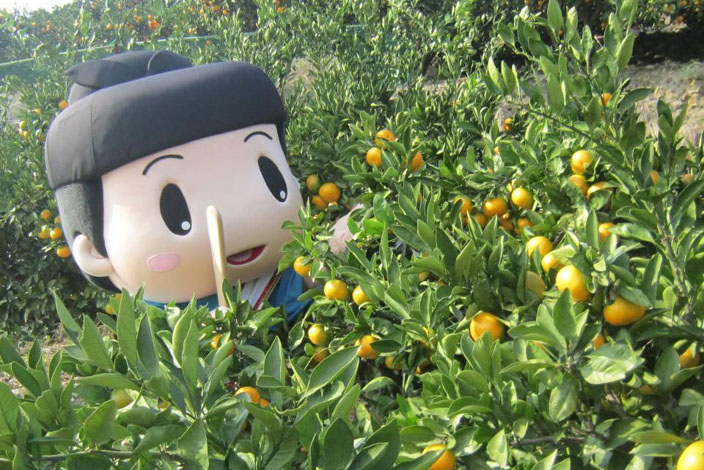 Kaminotaishikankomikan Mandarin Orchards