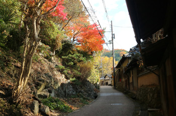 Takenouchi Kaido (Road)