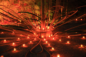 灯路祭り：壮大な竹のオブジェ